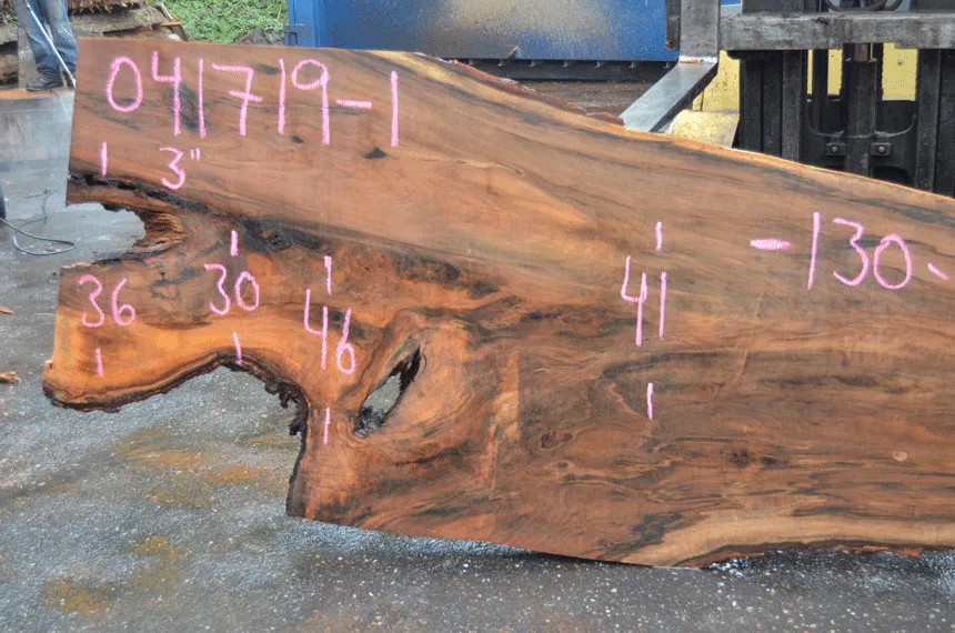 041719-01 Big Leaf Maple Slab