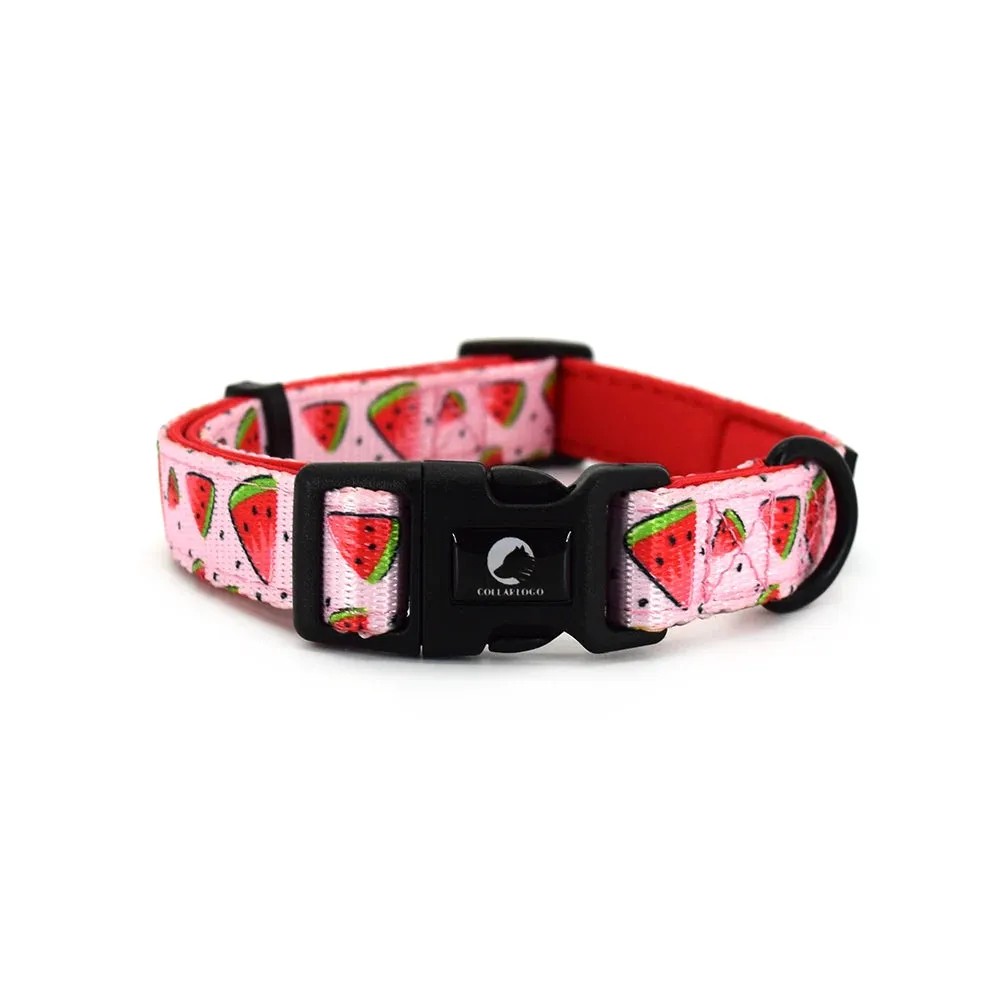 Adjustable Dog Collar Set – Durable Watermelon Design with Leash, Neoprene Harness & Poop Bag Dispenser