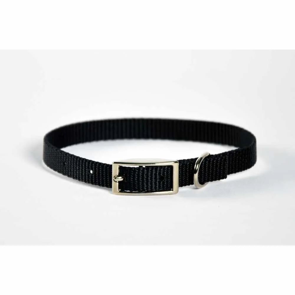 Dog Collar Skinny - 14" Black