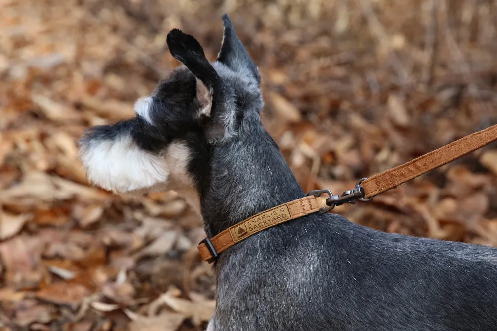 Easy Collar Brown