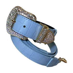 La Jolla Collar & Leash Set