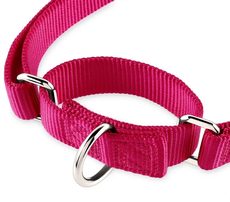 Martingale Collar