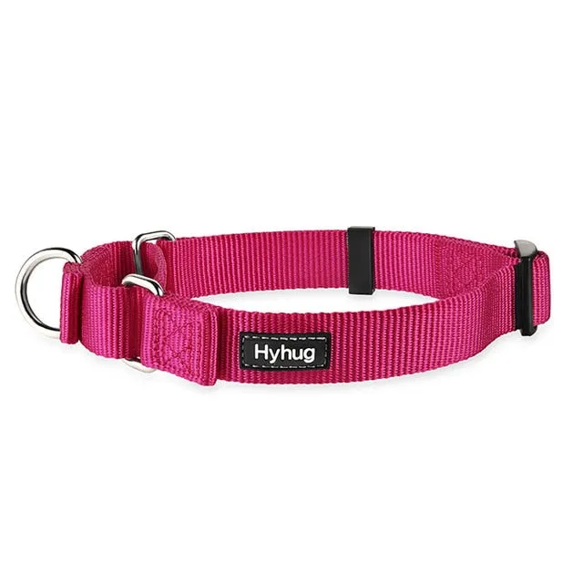 Martingale Collar