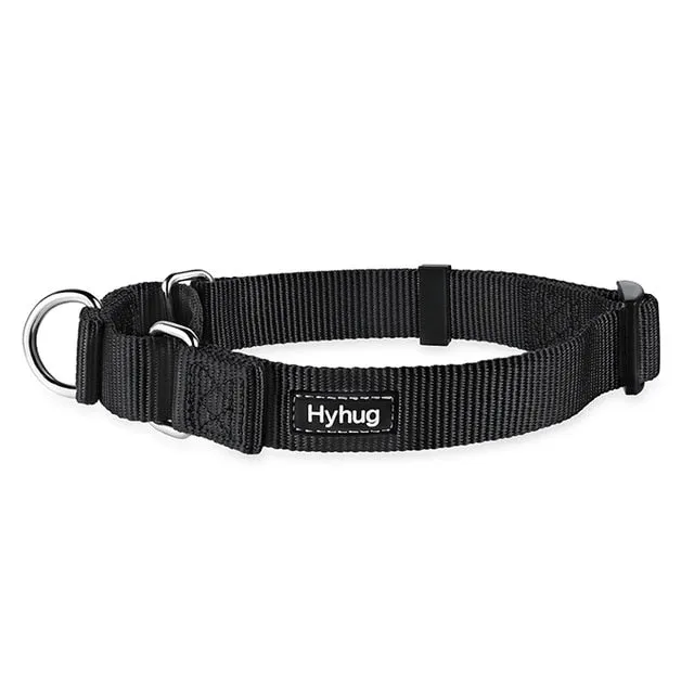 Martingale Collar