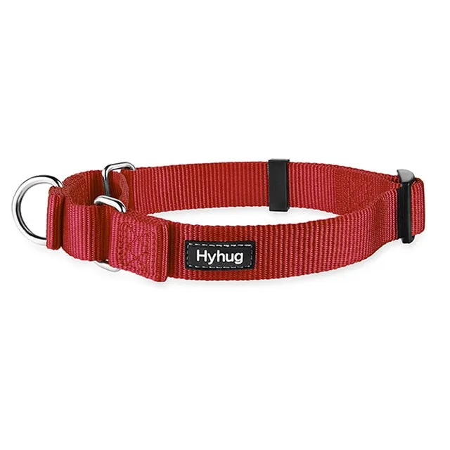 Martingale Collar