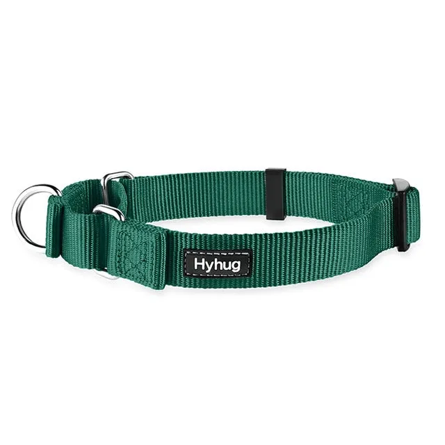 Martingale Collar