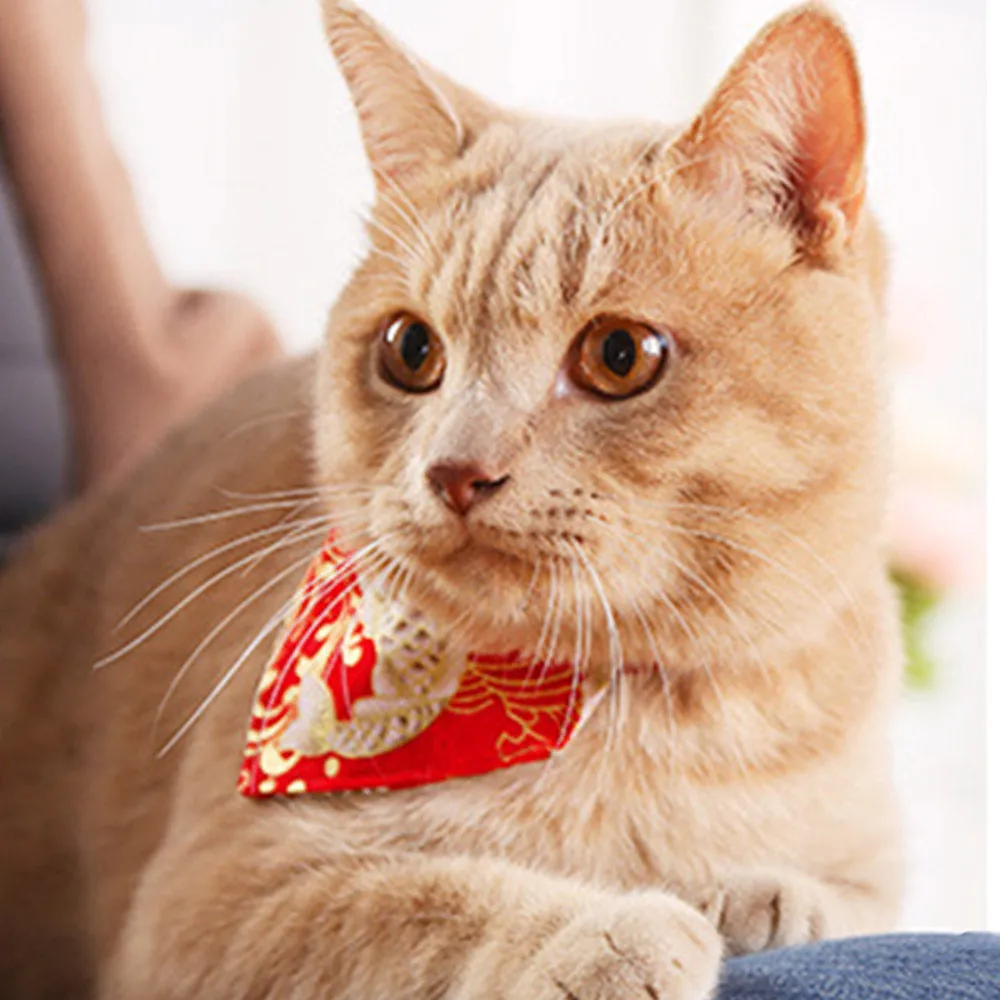 PAWS ASIA Shopee New Cheap Fancy Stylish Colorful Patterns Cute Personalized Cat Bandana Collar